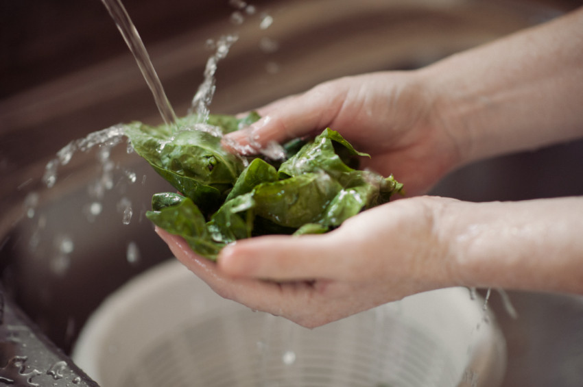 A female washes a handful of spinach under a tap