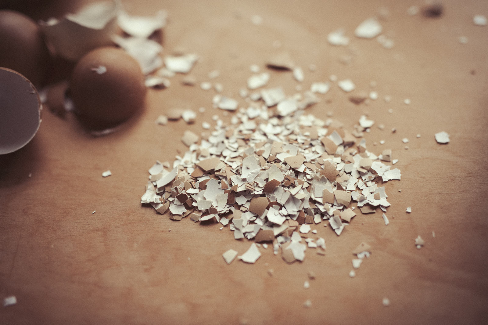 Crushed egg shells are displayed next to intact egg shells