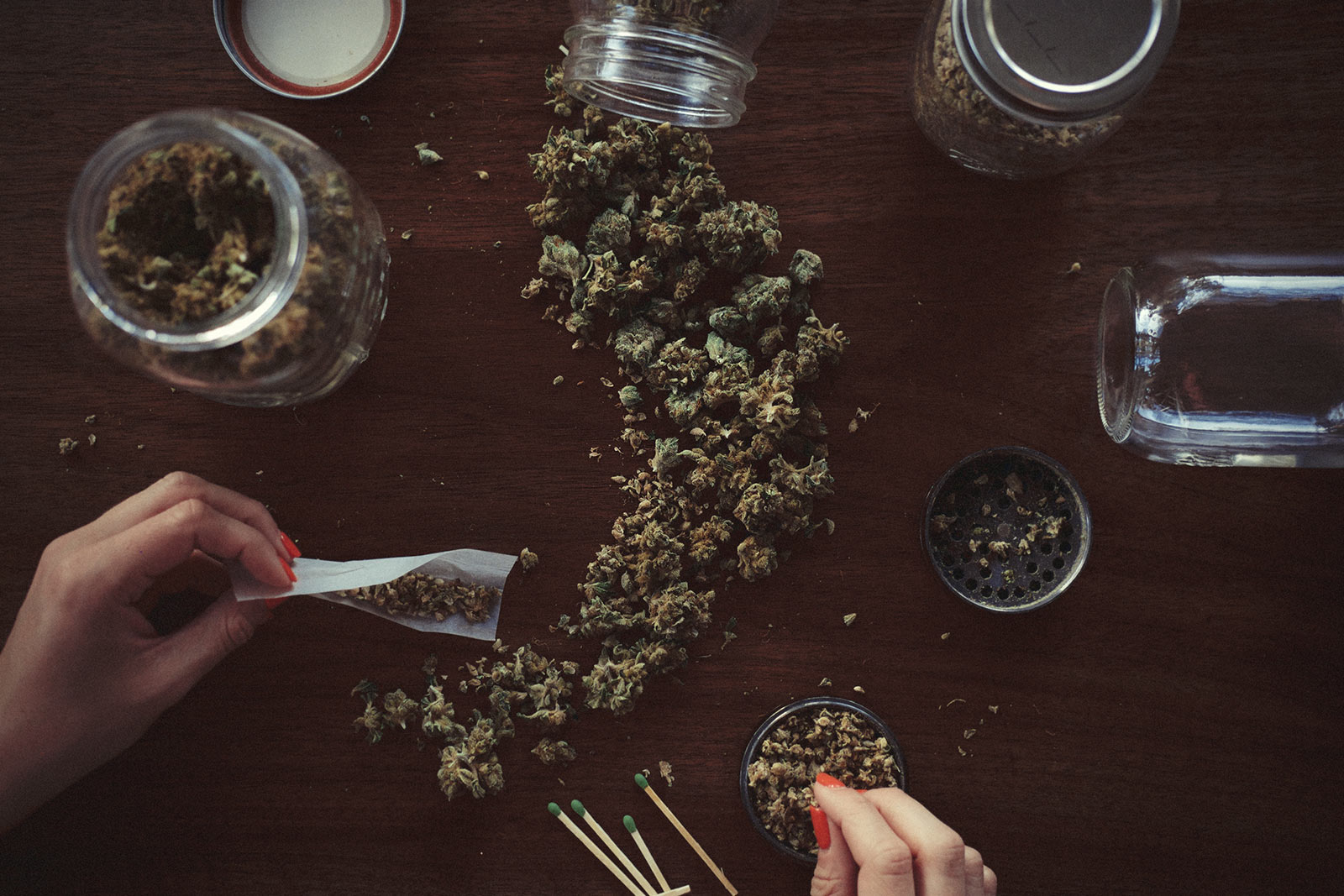 Cannabis covers the table while a woman rolls it into joints