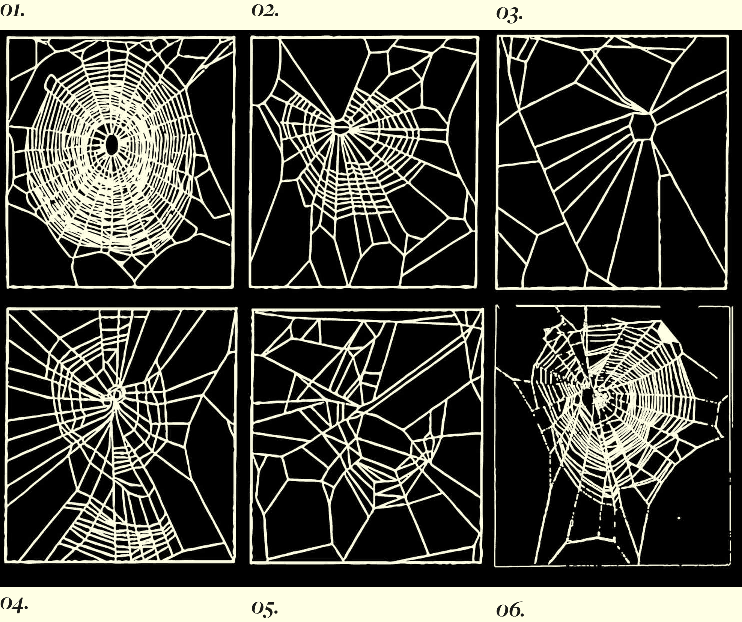 Webs spun by ordinary House Spiders 'high' on various drugs via NASA